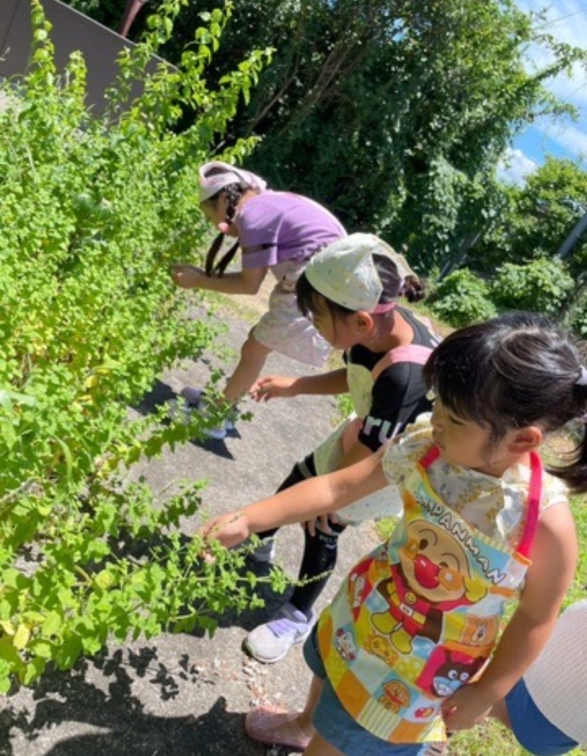 田村建築の地域・子育て支援部
                                                の活動の様子