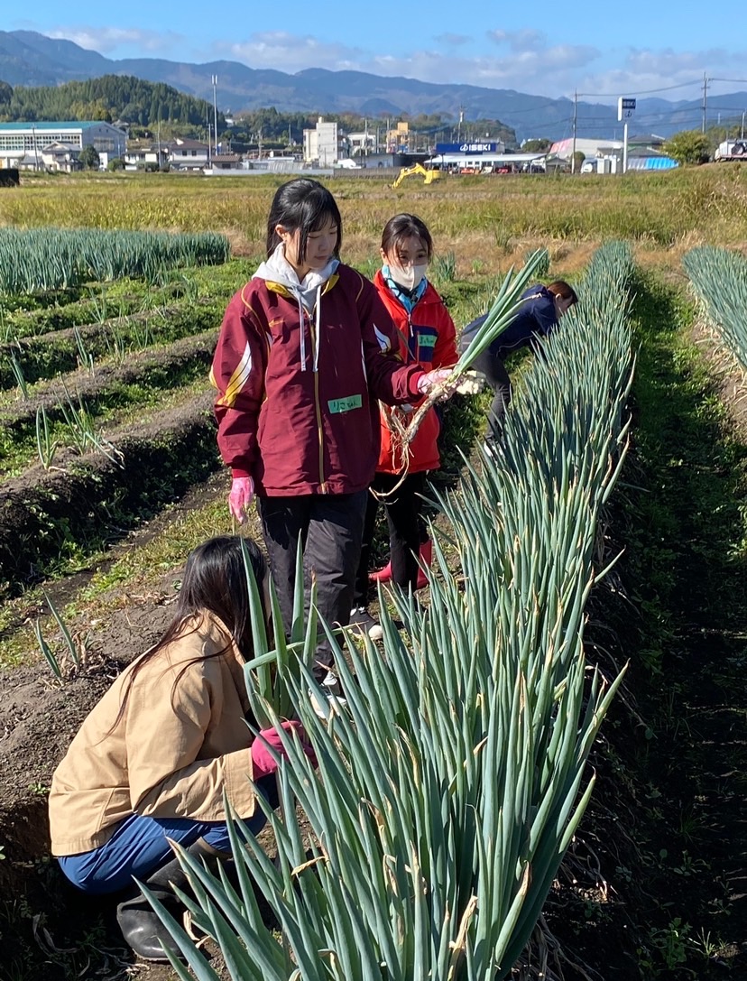 田村建築の地域・子育て支援部
                                                の活動の様子